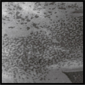 1st Single / 7inch "SATELLITES" 